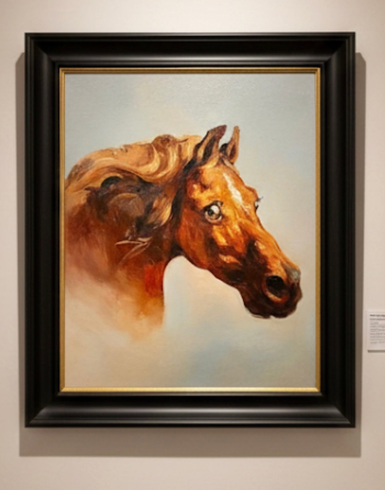 Portrait Of A Horse By Robert Lenkiewicz