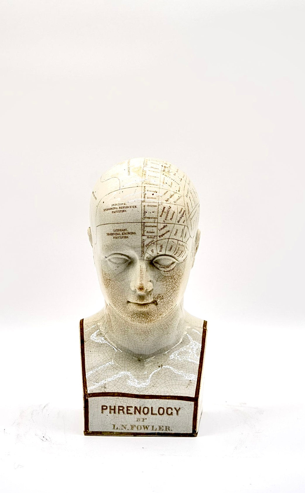 Original Antique Phrenology Head, circa 1855