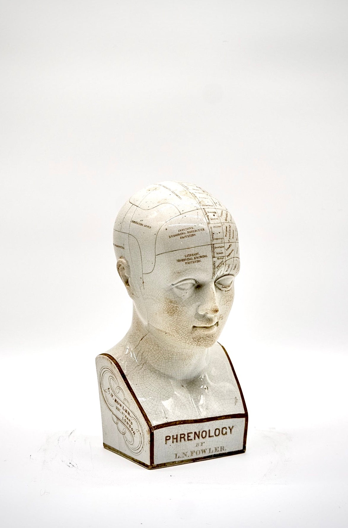 Original Antique Phrenology Head, circa 1855