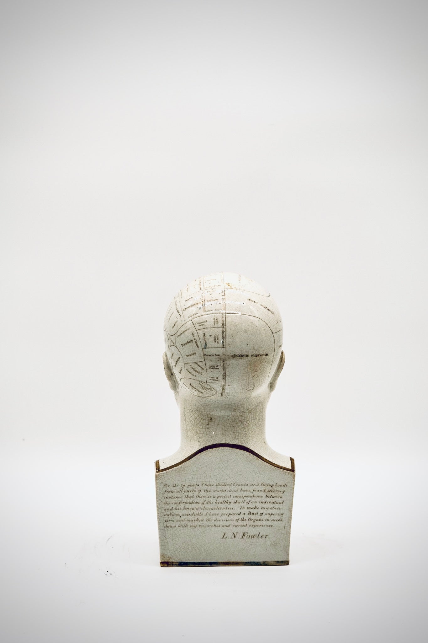 Original Antique Phrenology Head, circa 1855