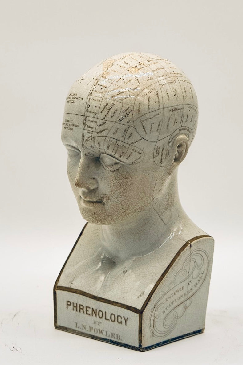 Original Antique Phrenology Head, circa 1855
