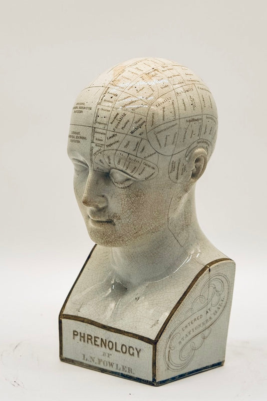 Original Antique Phrenology Head, circa 1855