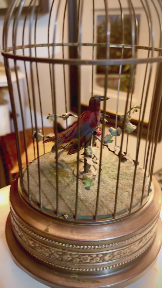 Birdcage Automaton By Karl Briesbaum